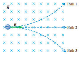 x x x x
x x Path 1
B
x x x x x x x
x x x
x x x
**-*- Path 2
x x x x x
x x x x x x x
x X X
x x x X X X X X
SA Path 3
