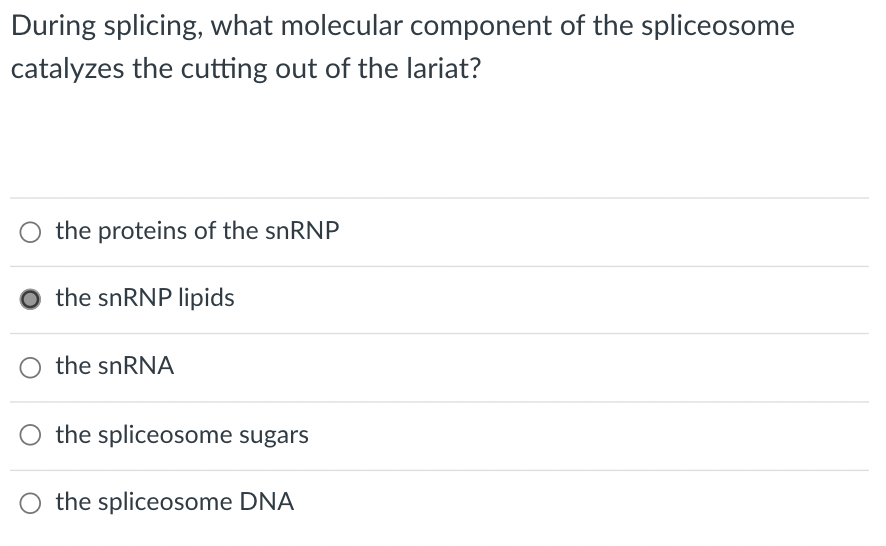 During splicing, what molecular component of the spliceosome
catalyzes the cutting out of the lariat?
the proteins of the snRNP
the snRNP lipids
the snRNA
O the spliceosome sugars
the spliceosome DNA
