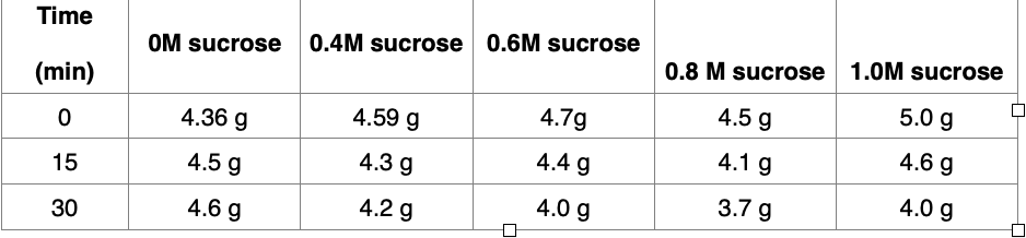 Time
OM sucrose 0.4M sucrose 0.6M sucrose
0.8 M sucrose 1.0M sucrose
(min)
4.5 g
5.0 g
4.59 g
4.7g
4.36 g
4.6 g
4.4 g
4.1 g
4.3 g
15
4.5 g
4.0 g
4.0 g
3.7 g
4.6 g
4.2 g
30
