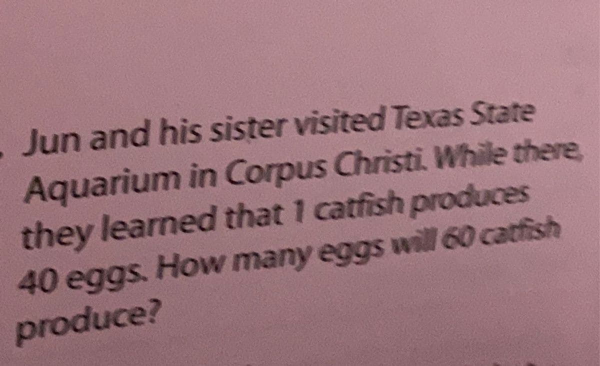 . Jun and his sister visited Texas State
Aquarium in Corpus Christi. While there,
they learned that 1 catfish produces
40 eggs. How many eggs will 60 catfish
produce?
