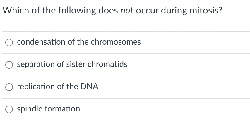 Which of the following does not occur during mitosis?
condensation of the chromosomes
separation of sister chromatids
replication of the DNA
O spindle formation
