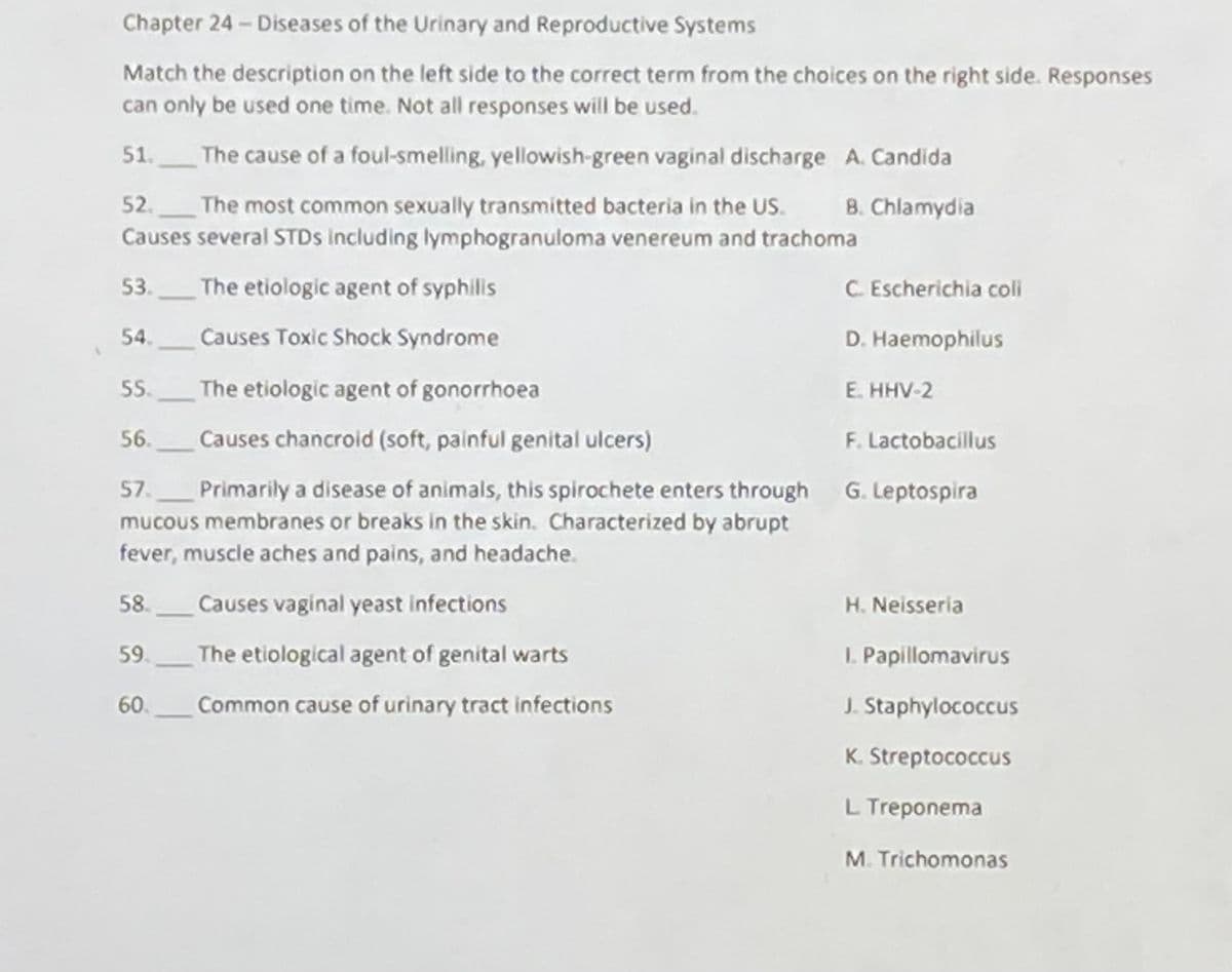 Chapter 24 - Diseases of the Urinary and Reproductive Systems
Match the description on the left side to the correct term from the choices on the right side. Responses
can only be used one time. Not all responses will be used.
51.
The cause of a foul-smelling, yellowish-green vaginal discharge A. Candida
The most common sexually transmitted bacteria in the US.
Causes several STDS Including lymphogranuloma venereum and trachoma
52.
8. Chlamydia
53.
The etiologic agent of syphilis
C. Escherichia coli
54.
Causes Toxic Shock Syndrome
D. Haemophilus
55.
The etiologic agent of gonorrhoea
E. HHV-2
56.
Causes chancroid (soft, painful genital ulcers)
F. Lactobacillus
57._ Primarily a disease of animals, this spirochete enters through G. Leptospira
mucous membranes or breaks in the skin. Characterized by abrupt
fever, muscle aches and pains, and headache.
58.
Causes vaginal yeast infections
H. Neisseria
59.
The etiological agent of genital warts
I. Papillomavirus
60.
Common cause of urinary tract infections
J. Staphylococcus
K. Streptococcus
L Treponema
M. Trichomonas
