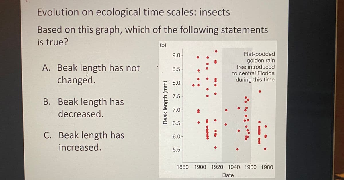 Evolution on ecological time scales: insects
Based on this graph, which of the following statements
is true?
(b)
Flat-podded
golden rain
tree introduced
to central Florida
9.0
A. Beak length has not
changed.
8.5
during this time
8.0
7.5
B. Beak length has
7.0
decreased.
6.5
C. Beak length has
6.0
increased.
5.5
1880 1900 1920 1940 1960 1980
Date
Beak length (mm)
• C Ceo

