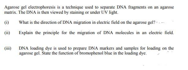 Agarose gel electrophoresis is a technique used to separate DNA fragments on an agarose
matrix. The DNA is then viewed by staining or under UV light.
(i)
What is the direction of DNA migration in electric field on the agarose gel? · .
(ii)
Explain the principle for the migration of DNA molecules in an electric field.
(iii)
DNA loading dye is used to prepare DNA markers and samples for loading on the
agarose gel. State the function of bromophenol blue in the loading dye.
