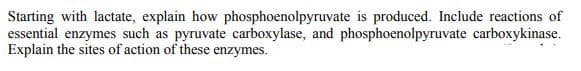 Starting with lactate, explain how phosphoenolpyruvate is produced. Include reactions of
essential enzymes such as pyruvate carboxylase, and phosphoenolpyruvate carboxykinase.
Explain the sites of action of these enzymes.
