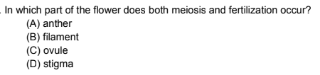 In which part of the flower does both meiosis and fertilization occur?
(A) anther
(B) filament
(C) ovule
(D) stigma
