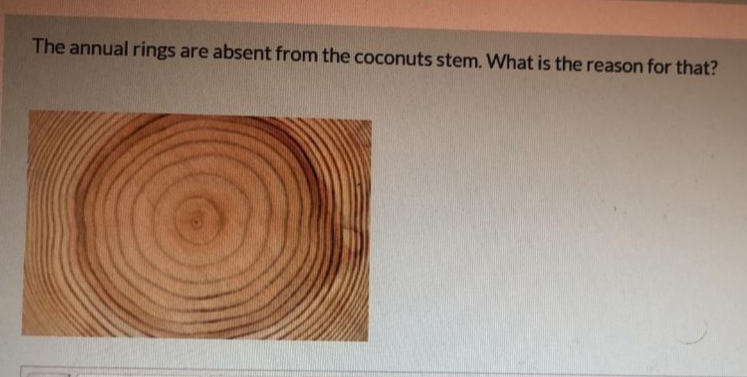 The annual rings are absent from the coconuts stem. What is the reason for that?
