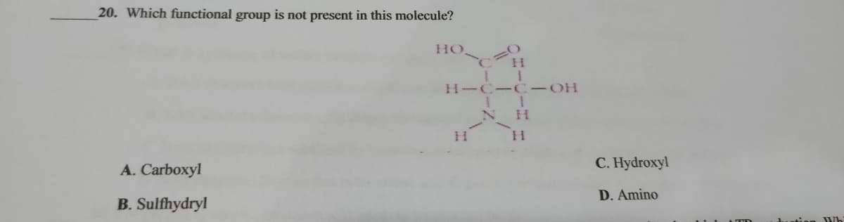 20. Which functional group is not present in this molecule?
HO
H-C-C-OH
A. Carboxyl
C. Hydroxyl
D. Amino
B. Sulfhydryl
