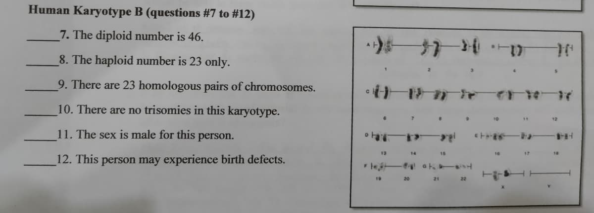 Human Karyotype B (questions #7 to #12)
7. The diploid number is 46.
8. The haploid number is 23 only.
9. There are 23 homologous pairs of chromosomes.
10. There are no trisomies in this karyotype.
10
11
12
11. The sex is male for this person.
아
13
14
15
16
17
18
12. This person may experience birth defects.
te
19
20
21 22
