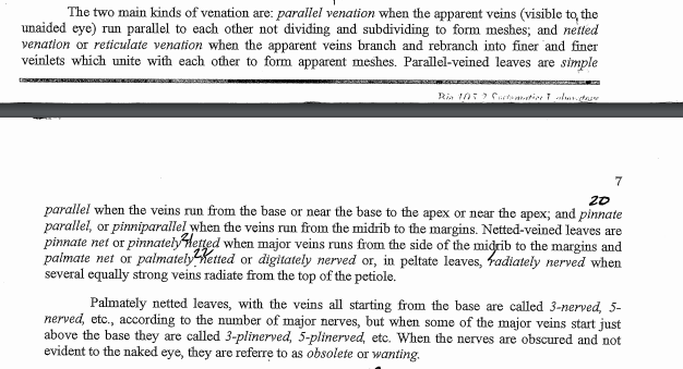 The two main kinds of venation are: parallel venation when the apparent veins (visible to, the
unaided eye) run parallel to each other not dividing and subdividing to form meshes; and netted
venation or reticulate venation when the apparent veins branch and rebranch into finer and finer
veinlets which unite with each other to form apparent meshes. Parallel-veined leaves are simple
Rin 10: Cuetotio 1alu daw
7
20
parallel when the veins run from the base or near the base to the apex or near the apex; and pinnate
parallel, or pinniparallel when the veins run from the midrib to the margins. Netted-veined leaves are
pinnate net or pinnately Hetted when major veins runs from the side of the midrib to the margins and
palmate net or palmately Ketted or digitately nerved or, in peltate leaves, Fadiately nerved when
several equally strong veins radiate from the top of the petiole.
Palmately netted leaves, with the veins all starting from the base are called 3-nerved, 5-
nerved, etc., according to the number of major nerves, but when some of the major veins start just
above the base they are called 3-plinerved, 5-plinerved, etc. When the nerves are obscured and not
evident to the naked eye, they are referre to as obsolete or wanting.
