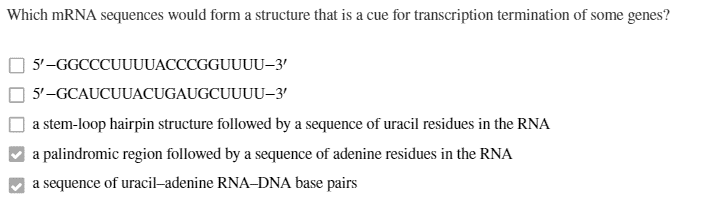 Which mRNA sequences would form a structure that is a cue for transcription termination of some genes?
5'-GGCCCUUUUACCCGGUUUU-3'
5'-GCAUCUUACUGAUGCUUUU-3'
a stem-loop hairpin structure followed by a sequence of uracil residues in the RNA
a palindromic region followed by a sequence of adenine residues in the RNA
a sequence of uracil-adenine RNA-DNA base pairs
