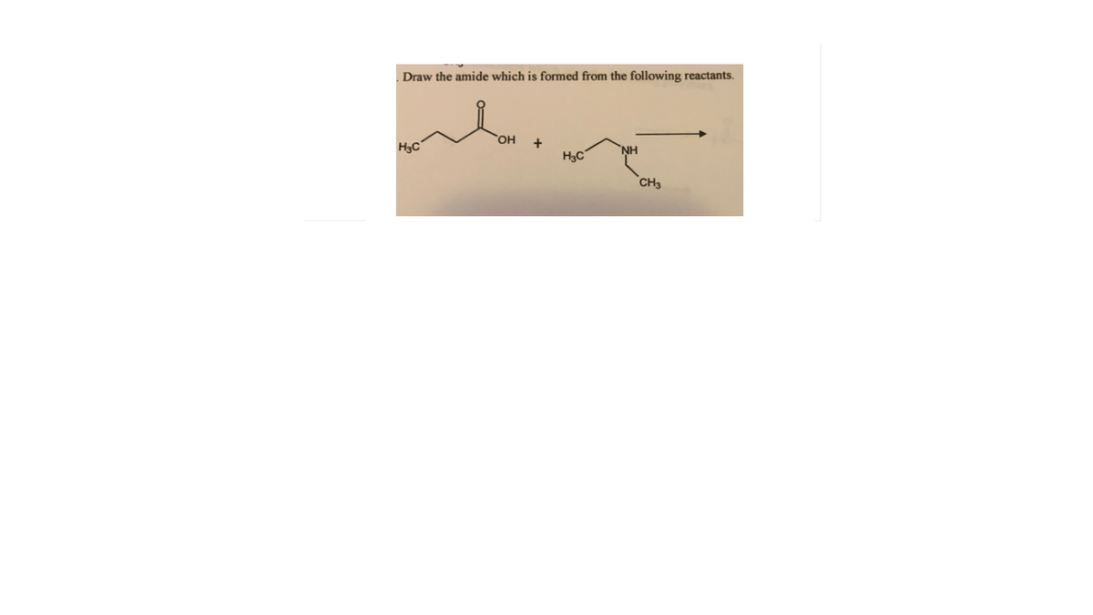 Draw the amide which is formed from the following reactants.
HO,
H3C
NH
H3C
CH3
