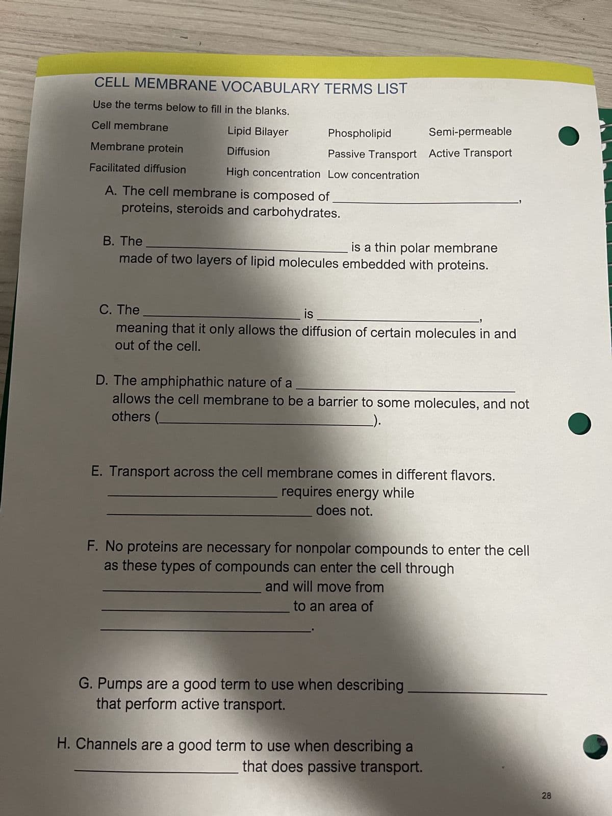 CELL MEMBRANE VOCABULARY TERMS LIST
Use the terms below to fill in the blanks.
Cell membrane
Lipid Bilayer
Diffusion
Membrane protein
Facilitated diffusion
Phospholipid
Semi-permeable
Passive Transport Active Transport
High concentration Low concentration
A. The cell membrane is composed of
proteins, steroids and carbohydrates.
B. The
is a thin polar membrane
made of two layers of lipid molecules embedded with proteins.
C. The
is
meaning that it only allows the diffusion of certain molecules in and
out of the cell.
D. The amphiphathic nature of a
allows the cell membrane to be a barrier to some molecules, and not
others
E. Transport across the cell membrane comes in different flavors.
requires energy while
does not.
F. No proteins are necessary for nonpolar compounds to enter the cell
as these types of compounds can enter the cell through
and will move from
to an area of
G. Pumps are a good term to use when describing
that perform active transport.
H. Channels are a good term to use when describing
that does passive transport.
28