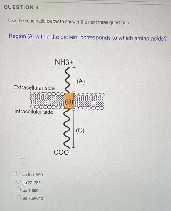 QUESTION 4
Use the schematic below to answer the next three questions.
Region (A) within the protein, corresponds to which amino acids?
NH3+
(A)
Extracellular side
(B)
Intracellular side
(C)
СО-
aа 811-860
aа 22-788
aа 1-860
aa 789-810
