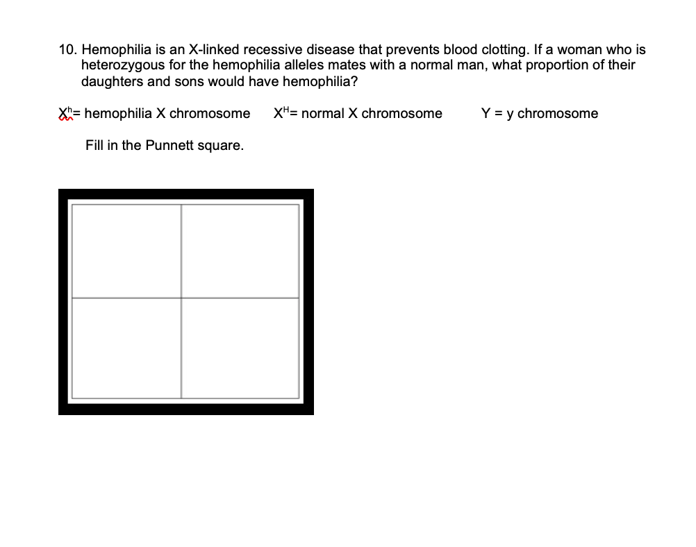 10. Hemophilia is an X-linked recessive disease that prevents blood clotting. If a woman who is
heterozygous for the hemophilia alleles mates with a normal man, what proportion of their
daughters and sons would have hemophilia?
X= hemophilia X chromosome
XH= normal X chromosome
Y = y chromosome
Fill in the Punnett square.
