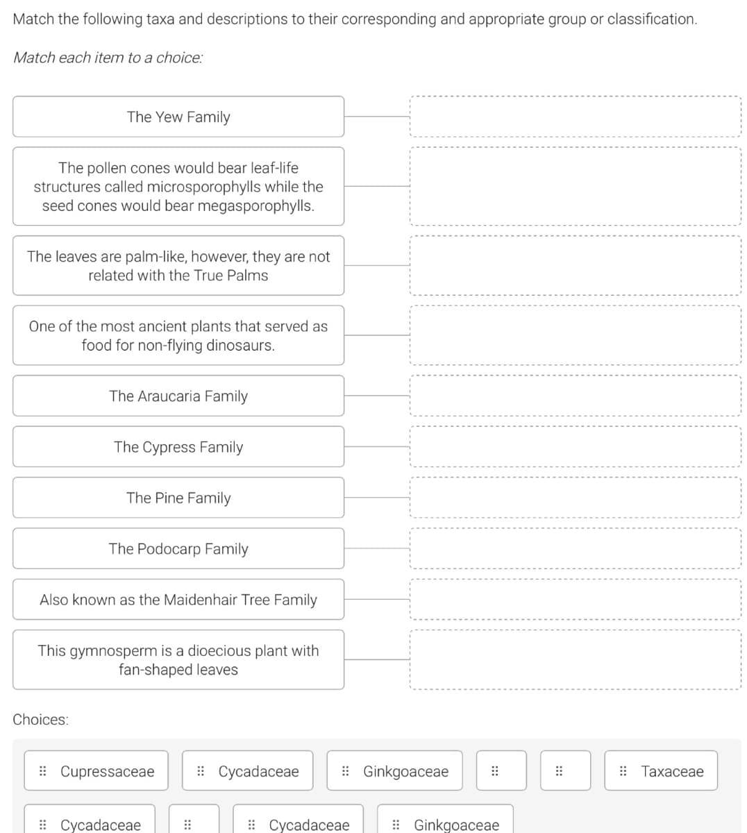Match the following taxa and descriptions to their corresponding and appropriate group or classification.
Match each item to a choice:
The Yew Family
The pollen cones would bear leaf-life
structures called microsporophylls while the
seed cones would bear megasporophylls.
The leaves are palm-like, however, they are not
related with the True Palms
One of the most ancient plants that served as
food for non-flying dinosaurs.
The Araucaria Family
The Cypress Family
The Pine Family
The Podocarp Family
Also known as the Maidenhair Tree Family
This gymnosperm is a dioecious plant with
fan-shaped leaves
Choices:
: Cupressaceae
: Cycadaceae
: Ginkgoaceae
Тахасеае
: Сусadaceae
Сусadaceaе
: Ginkgoaceae
:::
:::

