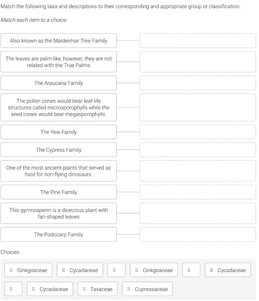 Match the following taxa and descriptions to their corresponding and appropriate group or classification.
Match each item to a choice:
Also known as the Maidenhair Tree Family
The leaves are palm-like, however, they are not
related with the True Palms
The Araucaria Family
The pollen cones would bear leaf-life
structures called microsporophylls while the
seed cones would bear megasporophylls.
The Yew Family
The Cypress Family
One of the most ancient plants that served as
food for non-flying dinosaurs.
The Pine Family
This gymnosperm is a dioecious plant with
fan-shaped leaves
The Podocarp Family
Choices:
: Ginkgoaceae
Сусadaceae
: Ginkgoaceae
Сусadaceae
: Cycadaceae
:: Тахасеае
: Cupressaceae
::
:::
