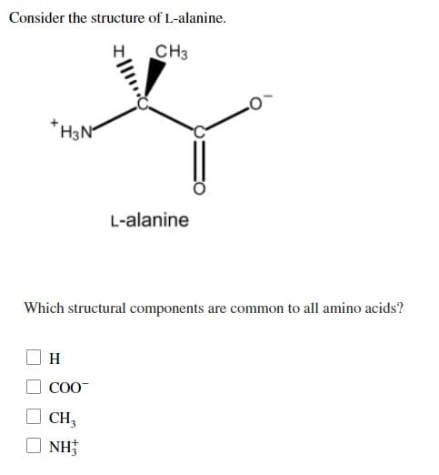 Consider the structure of L-alanine.
CH3
*H3N₁
L-alanine
Which structural components are common to all amino acids?
H
COO™
CH3
NH
