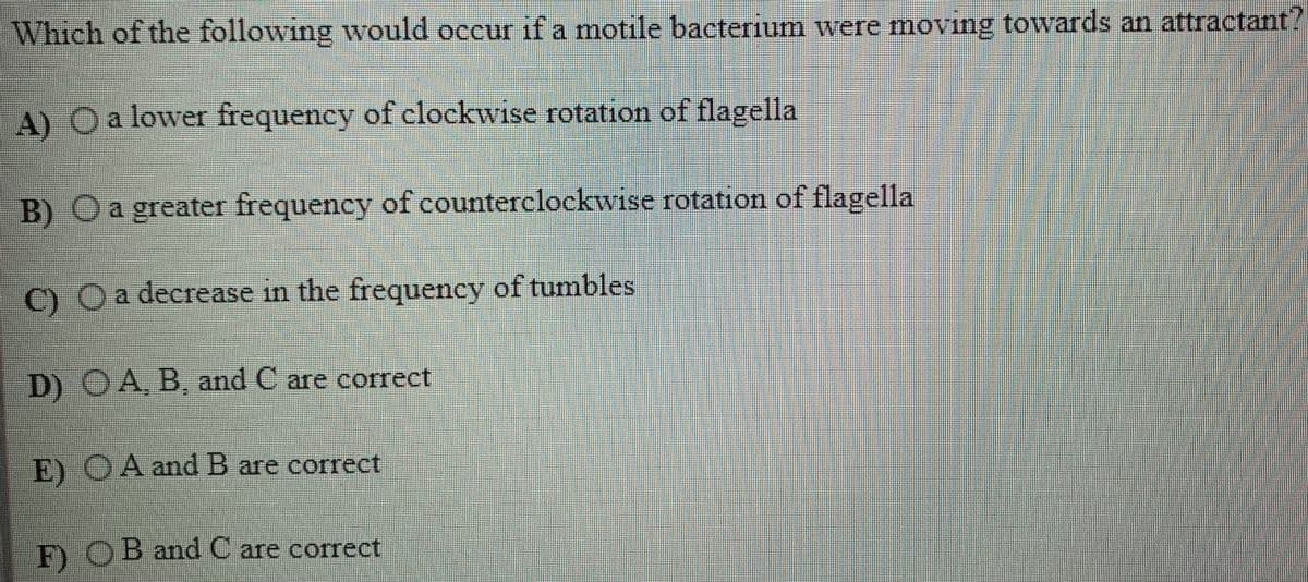 Which of the following would occur if a motile bacterium were moving towards an attractant?
A) Oa lower frequency of clockwise rotation of flagella
B) Oa greater frequency of counterclockwise rotation of flagella
C) Oa decrease in the frequency of tumbles
D) OA, B, and C are correct
E) OA and B are correct
F) OB and C are correct
