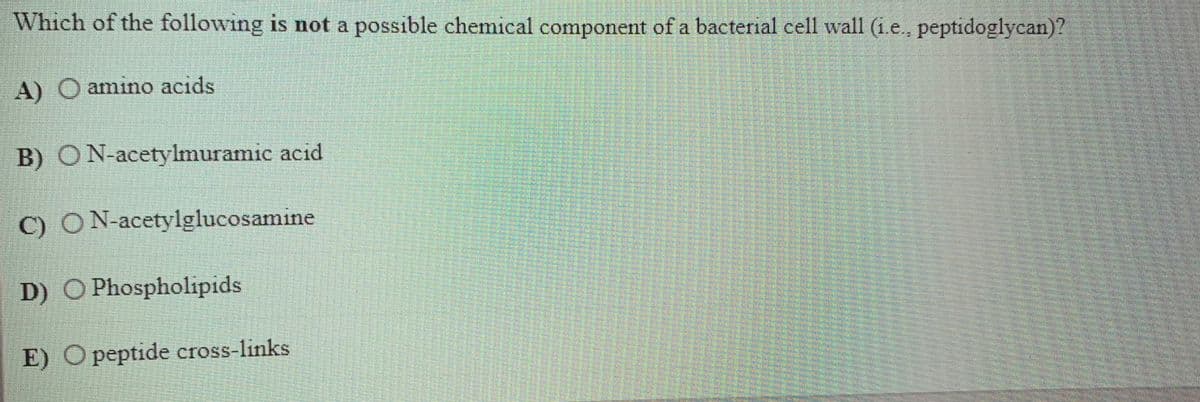 Which of the following is not a possible chemical component of a bacterial cell wall (i.e., peptidoglycan)?
A) O amino acids
B) ON-acetylmuramic acid
C) ON-acetylglucosamine
D) O Phospholipids
E) O peptide cross-links
機
