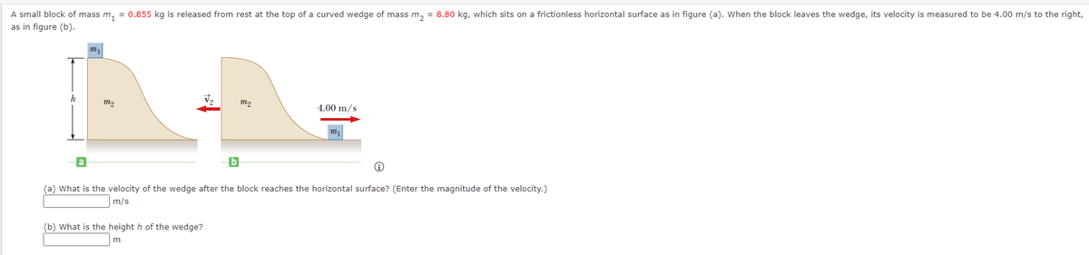 A small block of mass m, = 0.855 kg is released from rest at the top of a curved wedge of mass m, = 8.80 kg, which sits on a frictionless horizontal surface as in figure (a). When the block leaves the wedge, its velocity is measured to be 4.00 m/s to the right,
as in figure (b).
h
m2
4.00 m/s
(a) What is the velocity of the wedge after the block reaches the horizontal surface? (Enter the magnitude of the velocity.)
m/s
(b) What is the height h of the wedge?
m
