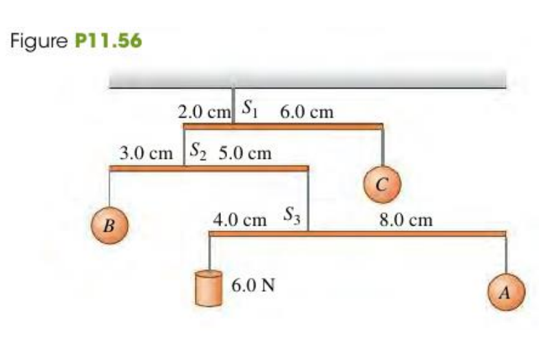 Figure P11.56
2.0 cm Si 6.0 cm
3.0 cm S2 5.0 cm
4.0 cm S3
8.0 cm
6.0 N
