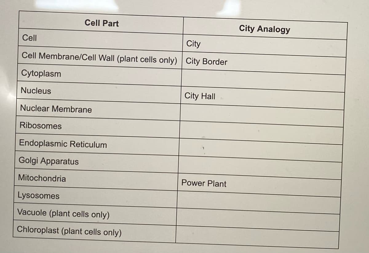 Cell Part
Cell
City
Cell Membrane/Cell Wall (plant cells only) City Border
Cytoplasm
Nucleus
City Hall
Nuclear Membrane
Ribosomes
Endoplasmic Reticulum
Golgi Apparatus
Mitochondria
Power Plant
Lysosomes
Vacuole (plant cells only)
Chloroplast (plant cells only)
City Analogy