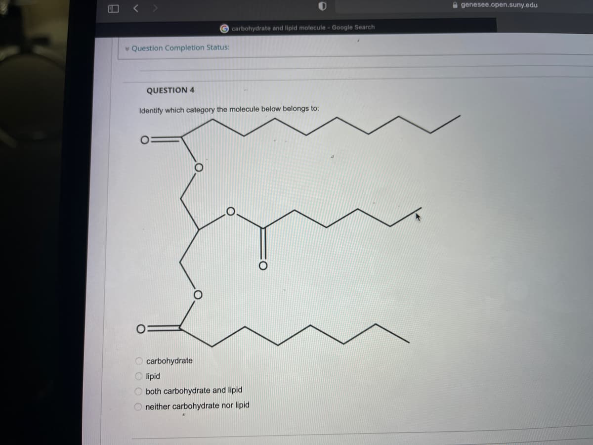 A genesee.open.suny.edu
O carbohydrate and lipid molecule - Google Search
v Question Completion Status:
QUESTION 4
Identify which category the molecule below belongs to:
carbohydrate
lipid
both carbohydrate and lipid
O neither carbohydrate nor lipid
