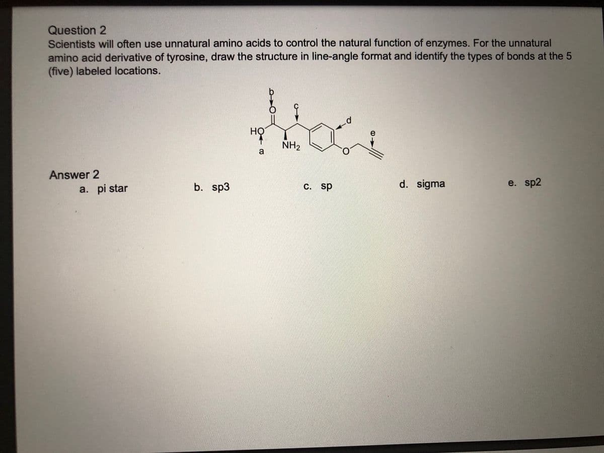 Question 2
Scientists will often use unnatural amino acids to control the natural function of enzymes. For the unnatural
amino acid derivative of tyrosine, draw the structure in line-angle format and identify the types of bonds at the 5
(five) labeled locations.
HỌ
NH2
a
Answer 2
b. sp3
C. sp
d. sigma
e. sp2
a. pi star
