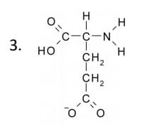 C-C-N.
но
н
н
CH
сн,
.C
ò-
3.
