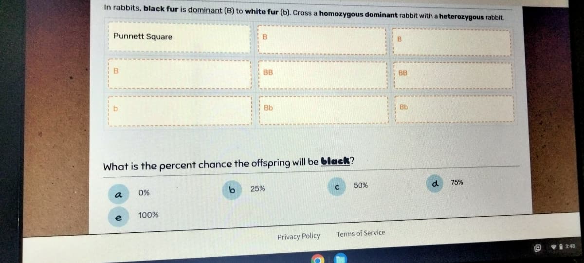 In rabbits, black fur is dominant (B) to white fur (b). Cross a homozygous dominant rabbit with a heterozygous rabbit.
Punnett Square
B
a
0%
B
What is the percent chance the offspring will be black?
100%
BB
Bb
b 25%
Privacy Policy
50%
Terms of Service
BB
Bb
d
75%
3:48