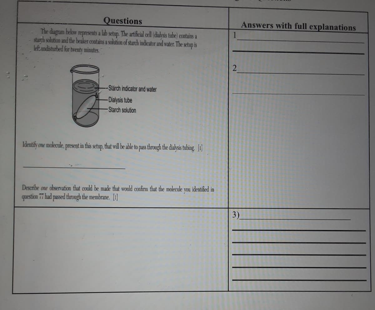 Questions
Answers with full explanations
The diagram below represents a lab setup. The artificial cell (dialysis tube) contains a
starch solution and the beaker contains a solution of starch indicator and water. The setup is
lefe undisturbed for twenty minutes.
Stárch indicator and water
-Dialysis tube
Starch solution
Identify one molecule, present in this setup, that will be able to pass through the dialysis tubing. [1]
Describe one observation that could be made that would confirm that the molecule
question 77 had passed through the membrane. [1]
you
identified in
3)
