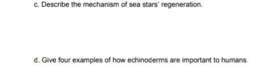 c. Describe the mechanism of sea stars' regeneration.
d. Give four examples of how echinoderms are important to humans.
