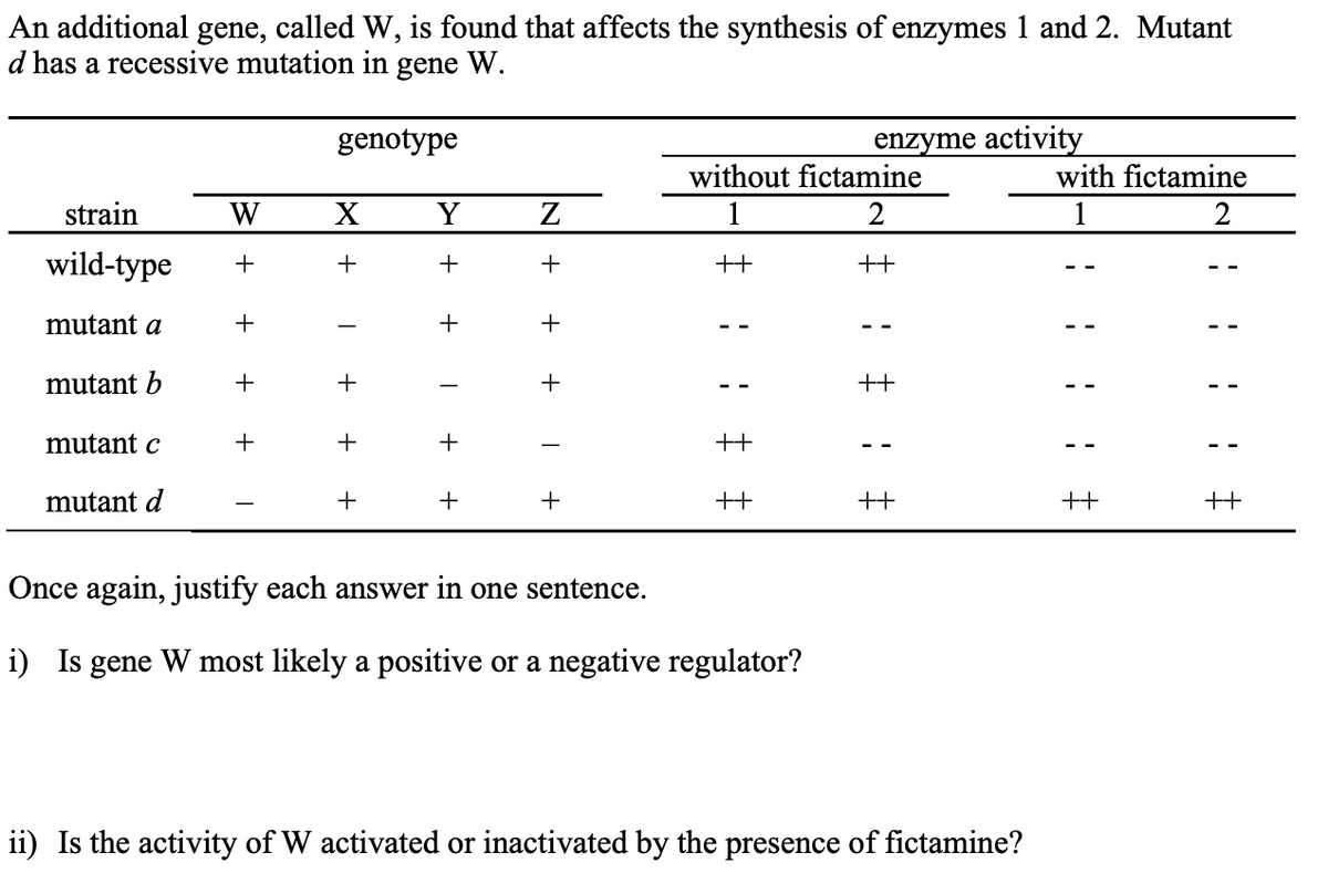 An additional gene, called W, is found that affects the synthesis of enzymes 1 and 2. Mutant
d has a recessive mutation in gene W.
genotype
enzyme activity
without fictamine
with fictamine
1
strain
W
X
Y
1
2
2
wild-type +
++
++
mutant a
+
mutant b
+
mutant c
+
+
+
mutant d
+
+
++
Once again, justify each answer in one sentence.
i) Is gene W most likely a positive or a negative regulator?
ii) Is the activity of W activated or inactivated by the presence of fictamine?
+
+
+
+
Z
+
+
+
+
++
++
H
++
++
!
1
++