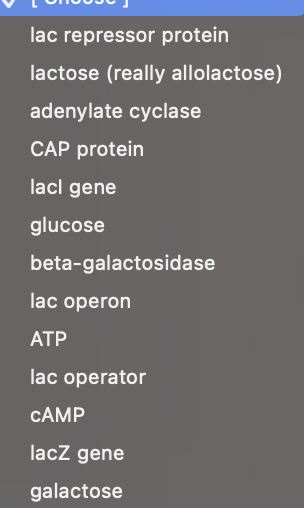 lac repressor protein
lactose (really allolactose)
adenylate cyclase
CAP protein
lacl gene
glucose
beta-galactosidase
lac operon
ATP
lac operator
CAMP
lacZ gene
galactose