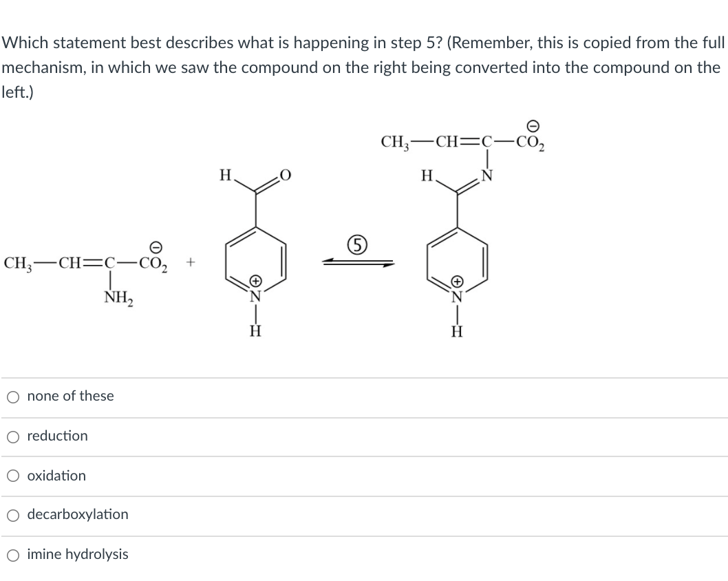 Which statement best describes what is happening in step 5? (Remember, this is copied from the full
mechanism, in which we saw the compound on the right being converted into the compound on the
left.)
CH;-CH=C-CO,
Н.
H
CH3-
–CH=C- CO,
+
NH2
O none of these
O reduction
O oxidation
decarboxylation
O imine hydrolysis
