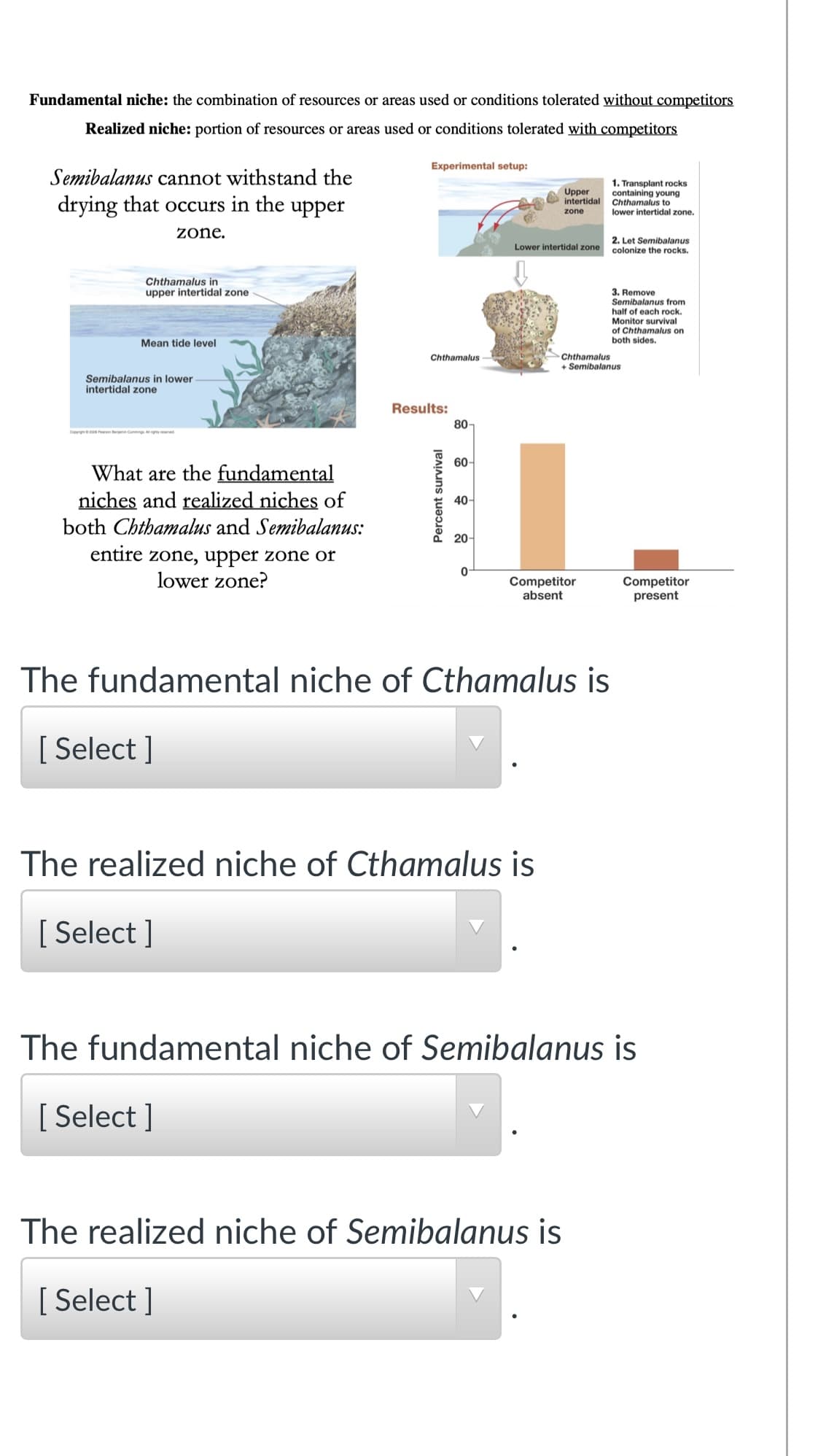 Fundamental niche: the combination of resources or areas used or conditions tolerated without competitors
Realized niche: portion of resources or areas used or conditions tolerated with competitors
Experimental setup:
Semibalanus cannot withstand the
1. Transplant rocks
containing young
intertidal Chthamalus to
lower intertidal zone.
Upper
drying that occurs in the upper
zone
zone.
2. Let Semibalanus
Lower intertidal zone
colonize the rocks.
Chthamalus in
upper intertidal zone
3. Remove
Semibalanus from
half of each rock.
Monitor survival
of Chthamalus on
both sides.
Mean tide level
Chthamalus
Chthamalus
+ Semibalanus
Semibalanus in lower-
intertidal zone
Results:
80-
60-
What are the fundamental
niches and realized niches of
40-
both Chthamalus and Semibalanus:
20-
entire zone, upper zone or
lower zone?
0-
Competitor
absent
Competitor
present
The fundamental niche of Cthamalus is
[ Select ]
The realized niche of Cthamalus is
[ Select ]
The fundamental niche of Semibalanus is
[ Select ]
The realized niche of Semibalanus is
[ Select ]
Percent survival
