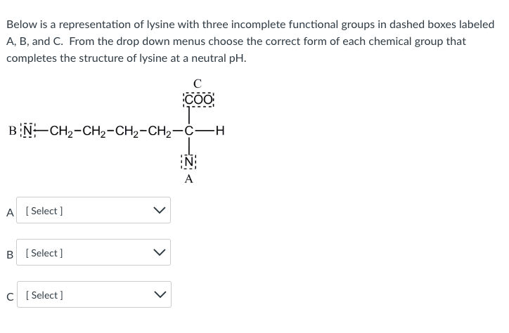 Below is a representation of lysine with three incomplete functional groups in dashed boxes labeled
A, B, and C. From the drop down menus choose the correct form of each chemical group that
completes the structure of lysine at a neutral pH.
COO
BN-CH2-CH2-CH2-CH2-C-H
N:
A
A [ Select ]
B [ Select]
C [ Select]
>
>
>
