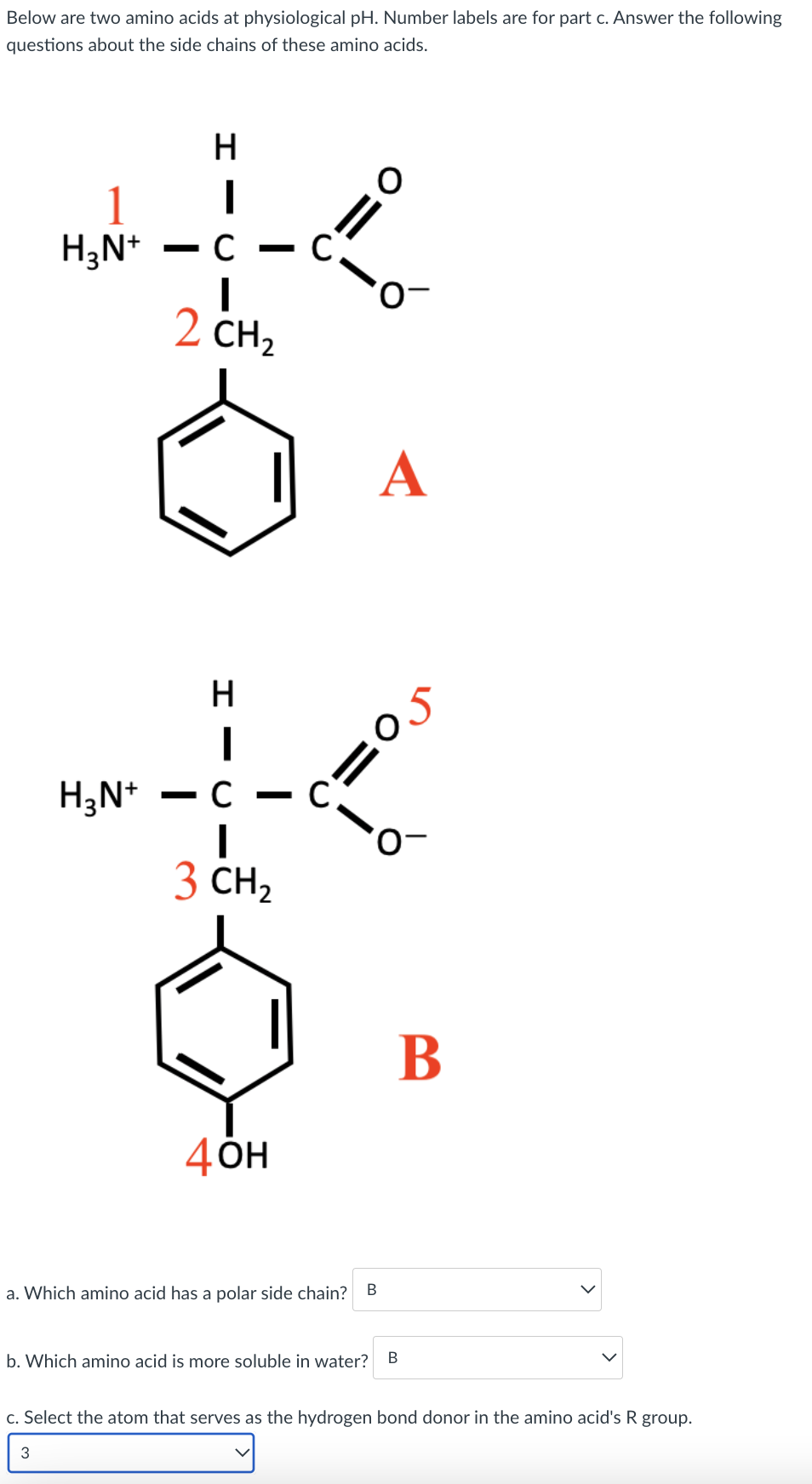 Below are two amino acids at physiological pH. Number labels are for part c. Answer the following
questions about the side chains of these amino acids.
H
C.
H;N*
2 CH2
A
H
H3N*
C
3 CH2
В
4он
В
a. Which amino acid has a polar side chain?
b. Which amino acid is more soluble in water? B
c. Select the atom that serves as the hydrogen bond donor in the amino acid's R group.
