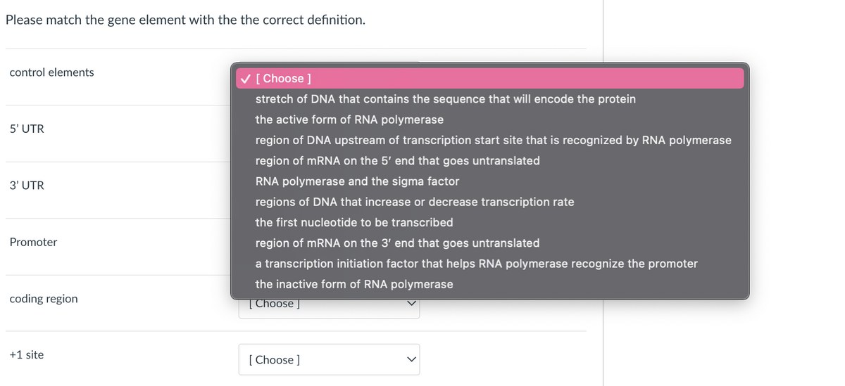 Please match the gene element with the the correct definition.
control elements
5' UTR
3' UTR
Promoter
coding region
+1 site
[Choose ]
stretch of DNA that contains the sequence that will encode the protein
the active form of RNA polymerase
region of DNA upstream of transcription start site that is recognized by RNA polymerase
region of mRNA on the 5' end that goes untranslated
RNA polymerase and the sigma factor
regions of DNA that increase or decrease transcription rate
the first nucleotide to be transcribed
region of mRNA on the 3' end that goes untranslated
a transcription initiation factor that helps RNA polymerase recognize the promoter
the inactive form of RNA polymerase
[Choose ]
[Choose ]