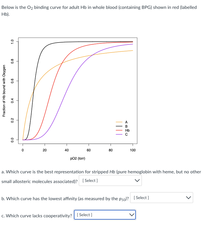 Below is the O2 binding curve for adult Hb in whole blood (containing BPG) shown in red (labelled
Hb).
A
Hb
20
40
60
80
100
pO2 (torr)
a. Which curve is the best representation for stripped Hb (pure hemoglobin with heme, but no other
small allosteric molecules associated)? [ Select ]
b. Which curve has the lowest affinity (as measured by the p5o)? [ Select ]
c. Which curve lacks cooperativity? [ Select ]
Fraction of Hb bound with Oxygen
0.2
0.4
0.6
0.8
0'0
>

