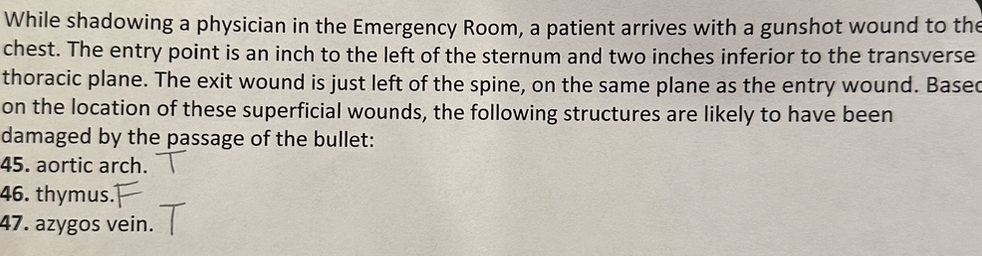 While shadowing a physician in the Emergency Room, a patient arrives with a gunshot wound to the
chest. The entry point is an inch to the left of the sternum and two inches inferior to the transverse
thoracic plane. The exit wound is just left of the spine, on the same plane as the entry wound. Basec
on the location of these superficial wounds, the following structures are likely to have been
damaged by the passage of the bullet:
45. aortic arch.
46. thymus.
47. azygos vein. T