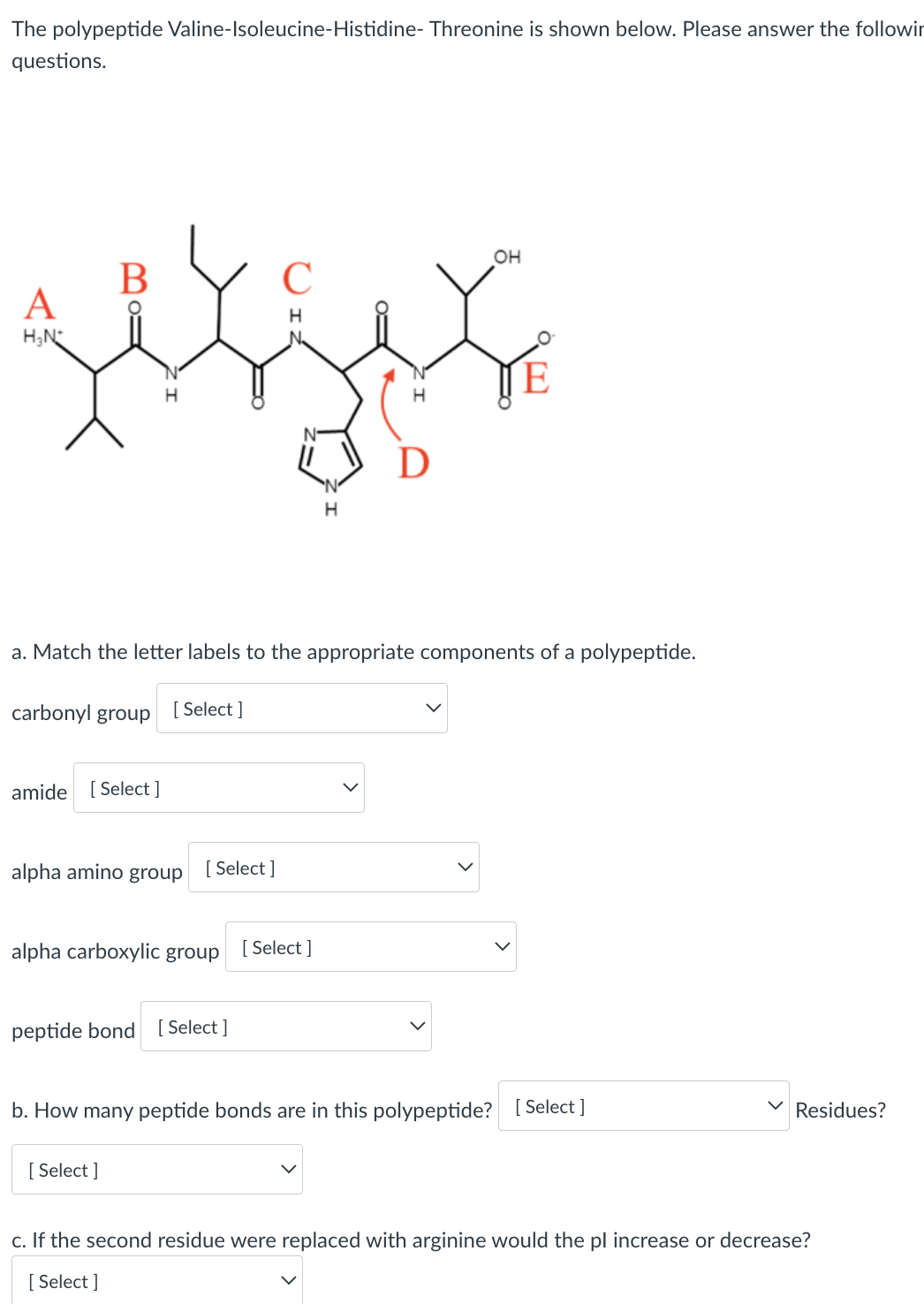 The polypeptide Valine-Isoleucine-Histidine- Threonine is shown below. Please answer the followin
questions.
A
H₂N*
B
carbonyl group
amide [Select]
H
[Select]
alpha amino group
a. Match the letter labels to the appropriate components of a polypeptide.
[Select]
[Select]
alpha carboxylic group
peptide bond [Select]
C
H
H
[Select]
D
OH
E
b. How many peptide bonds are in this polypeptide? [Select]
Residues?
c. If the second residue were replaced with arginine would the pl increase or decrease?
[Select]