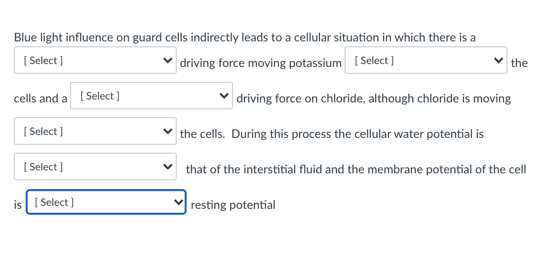 Blue light influence on guard cells indirectly leads to a cellular situation in which there is a
[ Select ]
driving force moving potassium [ Select ]
the
cells and a
[ Select ]
driving force on chloride, although chloride is moving
[ Select ]
the cells. During this process the cellular water potential is
[ Select ]
that of the interstitial fluid and the membrane potential of the cell
is
[ Select ]
resting potential
