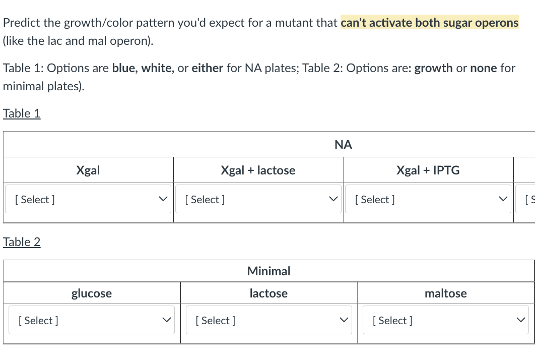 Predict the growth/color pattern you'd expect for a mutant that can't activate both sugar operons
(like the lac and mal operon).
Table 1: Options are blue, white, or either for NA plates; Table 2: Options are: growth or none for
minimal plates).
Table 1
ΝΑ
Xgal + lactose
Xgal + IPTG
[S
Minimal
lactose
maltose
[ Select]
Table 2
[Select]
Xgal
glucose
[Select]
[Select]
[Select]
[Select]