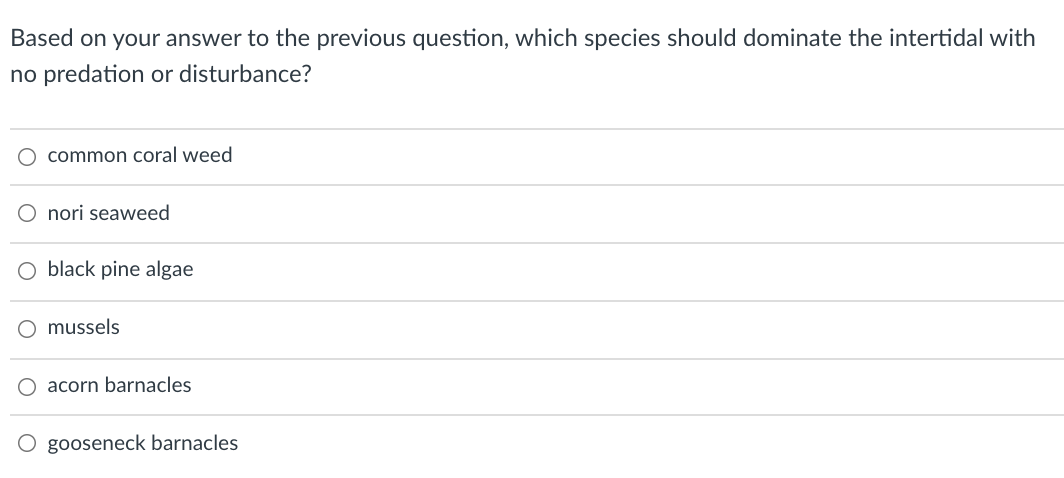 Based on your answer to the previous question, which species should dominate the intertidal with
no predation or disturbance?
common coral weed
O nori seaweed
O black pine algae
mussels
O acorn barnacles
O gooseneck barnacles
