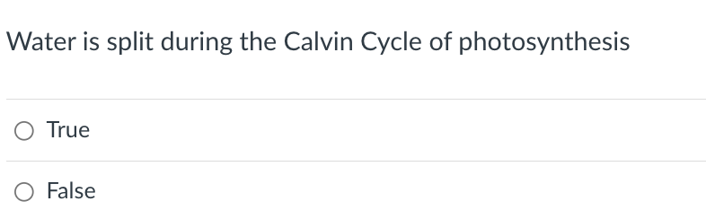 Water is split during the Calvin Cycle of photosynthesis
O True
O False