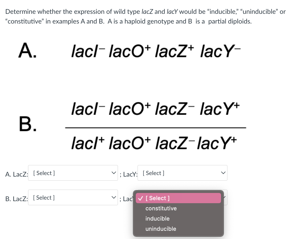Determine whether the expression of wild type lacZ and lacy would be "inducible," "uninducible" or
"constitutive" in examples A and B. A is a haploid genotype and B is a partial diploids.
A.
lacl-lacO+ lacZ+ lacY-
B.
A. LacZ: Select]
B. LacZ: [Select]
lacl-lacO+ lacZ- lacY+
lacl+ lacO+ lacZ-lacY+
; LacY: [Select ]
; Lac✓ [Select]
constitutive
inducible
uninducible
