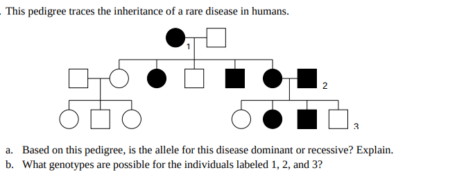 This pedigree traces the inheritance of a rare disease in humans.
a. Based on this pedigree, is the allele for this disease dominant or recessive? Explain.
b. What genotypes are possible for the individuals labeled 1, 2, and 3?
