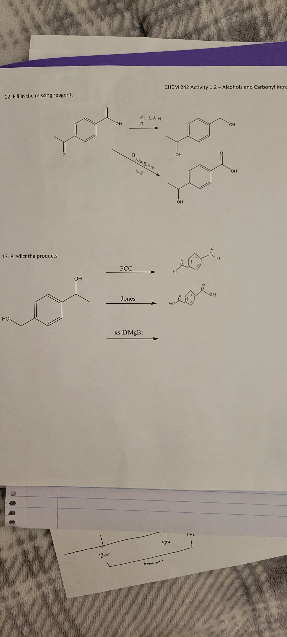 12. Fill in the missing reagents
13. Predict the products
НО.
ОН
200
ОН
PCC
В
XS LAM
A
мавич
NR
Jones
xs EtMgBr
Araudi
CHEM 242 Activity 1.2 - Alcohols and Carbonyl intro
что
ОН
ОН
10
он
ОН
ОН